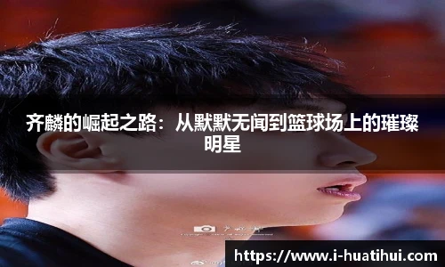 华体会hth体育官网入口