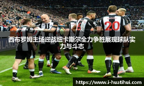 hth体育官网入口